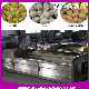  Vegetable Fruit Cleaning and Potato Carrot Ginger Washer and Peeler