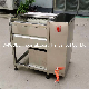  Industrial Fruit Vegetable Washer and Peeler for Onion Carrot