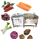 Root Vegetable Washing and Peeling Machine Sweet Radish Carrots Sweet Potato Peeler