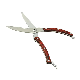  Wholesale Stainless Steel Kitchen Poultry Scissors with Locked Pakka Wood Handle