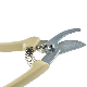 Household and Kitchen Scissors