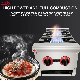  CE Certified Commercial Restaurant Stainless Steel 2 Burners Gas Stove with Adjustable Stands Ld-Rb2