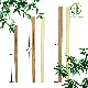 2023 Disposable Tensoge Bamboo Chopsticks for Fastfood Use