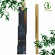 Logo Customized for You with Tensoge Disposable Bamboo Chopsticks Use in Restaraunt