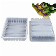  wholesale  PP frozen microwaved meat seafood food container with hot seal