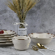  Hot Sale Hand-Painted Brown Rim Spice Dinnerware Set