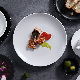  Entree Plates Customized Dinner Dessert Platter for Restaurants Tableware Party Rental