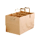 Factory Price Recyclable Kraft Brown Paper Bag with Rope Handle Your Logo Flat Handle Kraft Paper Bag manufacturer