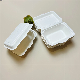 Bagasse Container Biodegradable Disposable Tableware Dinnerware Food Paper Clamshell Lunch Box
