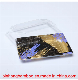  Food Grade Disposable Frozen Food Packaging Biodegradable PP Blister Plastic Food Tray for Meat