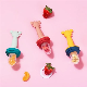  Baby Product Food Grade Silcone Baby Fruit Feeder with Teether