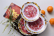 Chinese Restaurant Salad Soup Round Dish Dinnerware Melamine Deep Plate