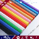  Factory Non Woven Polypropylene Fabric /PP Non-Woven Fabric