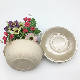 Brown Color Unbleached Biodegradable Sugarcane Bagasse Salad Bowl manufacturer