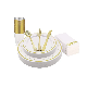  Elegant Premium Heavy Duty Disposable Plastic Gold Rose Silver Rim Dinnerware Tableware Dinner Sets for Party Wedding Birthdays