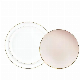  Disposable Tableware Biodegradable Birthday Dinnerware Set Plastic Plate for Wedding Party