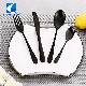 Food Grade Modern Black Metal 18/10 Ss Flatware for Restaurants