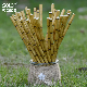  Disposable Biodegradable Brown Bamboo Print Paper Drinking Straw