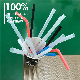  Biodegradable Drinking Straws 300 Pack 100% Compostable Flexible Plant Based Straw for Birthday or Party