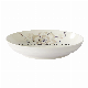  Hand-Painted Dinner Porcelain Ceramic Plate Set by Skilled Craftsmen