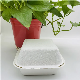 Compostable Sugarcane Pulp to Go Bento Food Box