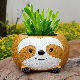  Cute Custom Sloth Succulent Flower Pot Garden Planter