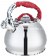  Kettles, 3.0 Liter Stainless Steel Teapot with Soft-Touch Handles in Kitchenware Series