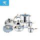  18K Golden Plated Handle Stainless Steel Cookware Set with Whistling Kettle