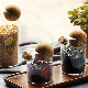 Cork Wooden Lid Glass Storage Canister Jar Sets