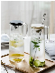 Borosilicate Glass Water Kettle Jug with Handle and Silione Lid