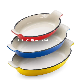  Hot Selling Customized Color Enameled Cast Iron Dish Fish Shaped Baking Roasting Pan