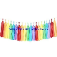  Paper Tassel Garland Party Decoration Tissue Paper Tassel Garland Wedding Garland
