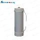  OEM Available Compressed Gas 3.3L Series Flavor N2o Cream Charger with Good Price