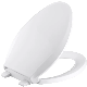 Frequently Used Plastic Toilet Seat Injection Mould