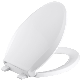  Frequently Used Plastic Toilet Seat Injection Mould