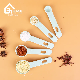  430 Stainless Steel Shaved Ice Knife PP Handle with Pet Plastic Kitchen Tools Pleers Kitchenware Set