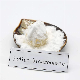  Food Grade Industry Grade Sodium Bicarbonate /Baking Soda