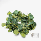 Wholesale 20 LED Silk Eucalyptus Leaf Garland Vine String Lights Artificial Plant