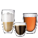 Bodum Double Wall Glass Cup for Ice Juice 12oz