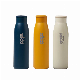  Silicone Ring Stainless Steel Vacuum Sports Bottle
