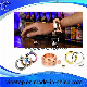 Colorful Bracelet Nice Style of Stainless Steel Hip Flask (VH-08)