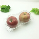  Vacuum Formed Fruit Container for Apple