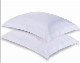 Pillow /Pillow Case for Five Star Hotel