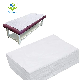 Disposable Bed Sheets Quilt Cover and Pillow Case Set for Hotel