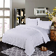 Embroidery Fitted 100% Cotton Comforter White Bedding Set