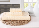  Hot Sale 100% Egyptian Cotton Five Stars Hotel Bath Towel Set