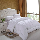  Luxury Quality Alternative Duvet/Microfiber Quilt/Polyester Comforter Many Colors for USA Market