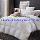 Feather Comforter Filled with Feather manufacturer