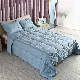  Hot Sales 100% Cotton Fabric White Duck Down Comforter