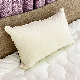  Cheap Price Wholesale White Goose Down Insert Pillow